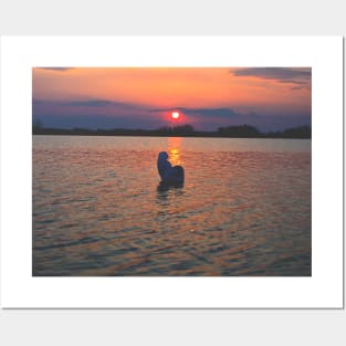 Silhouette of a Swan in the Middle of a Lake Posters and Art